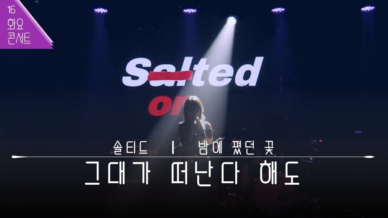 [화요콘서트 시즌16] 솔티드 - 밤에 폈던 꽃